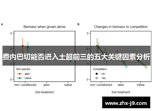 费内巴切能否进入土超前三的五大关键因素分析